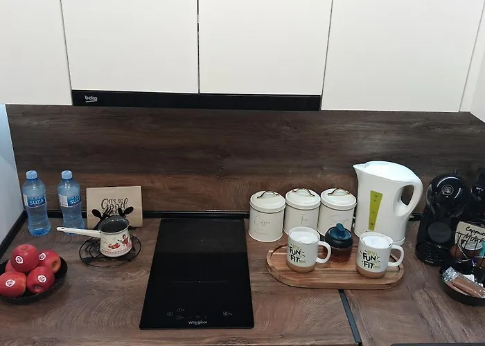 Luxury Apartment-aurora 33 Free Parking Center * Podgorica