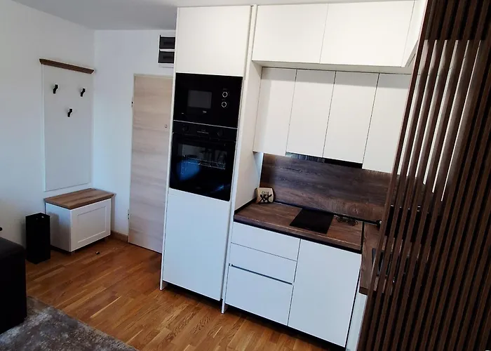 Luxury Apartment-aurora 33 Free Parking Center Apartment