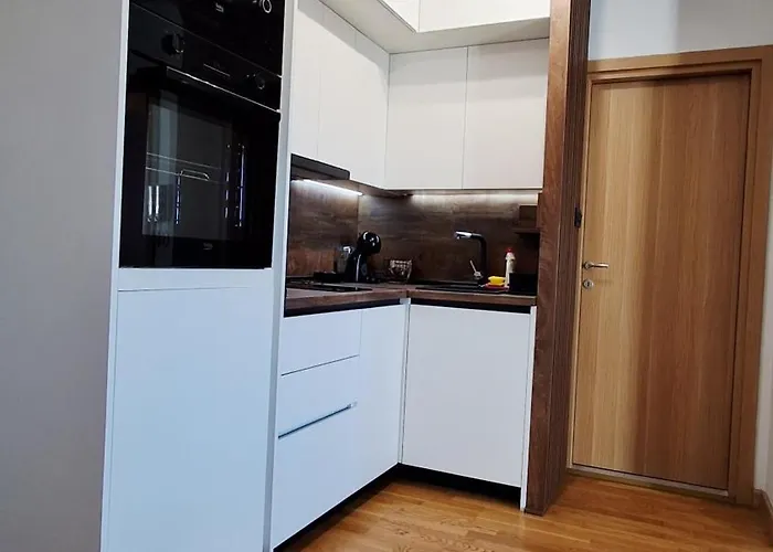 Apartment Luxury Apartment-aurora 33 Free Parking Center Podgorica