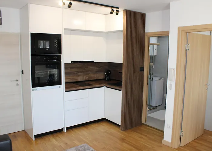 Luxury Apartment-aurora 33 Free Parking Center Apartment Podgorica