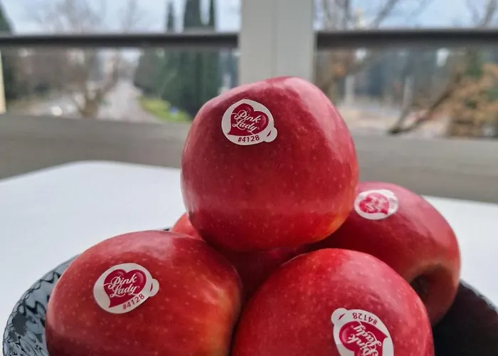 Luxury Apartment-aurora 33 Free Parking Center Appartement