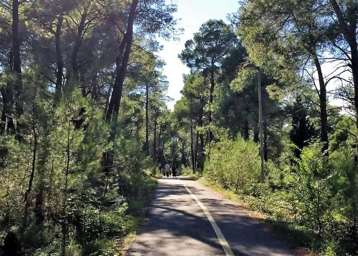 Appartement Luxury Apartment-aurora 33 Free Parking Center Podgorica